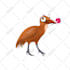 do something cool especially animal , illustration