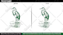 vectorize and prepare your artwork for dtg, dtf, screen, and offset printing