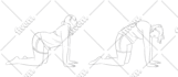 draw any object or person into a simple line  in 24 hours