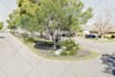 do backyard and landscape design 3d modelling and rendering