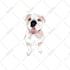 vector illustration dog cat animal pet cartoon portrait