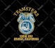 embroidery digitizing logo dst, pes, pxf, file asap
