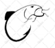do vector tracing,illustration,recreate, redesign raster image or logo to vector