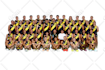green screen background removal cut out images 24 hours