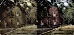 restore and colorize your old picture