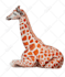 change image background to white or transparent in 4 hours