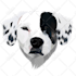 draw amazing pets illustration on 24 hours