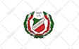do expert embroidery digitizing and logo conversion asap