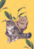 create animal and pet illustration