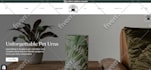 modernize and upgrade your shopify ecommerce store