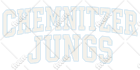 vectorize your logo or image and trace vector icons