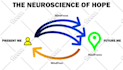 make infographic flow diagram, chart, layout in 24hr