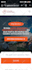 develop travel agency website