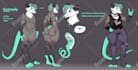 draw furry reference sheet nsfw or sfw