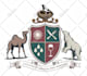 design a coat of arms, family crest, heraldic emblem and luxury logo design