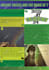 design creative social media ads, flyers, and typography posters