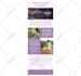 code responsive HTML email template from your design