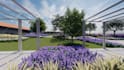 design and render backyard front landscape, garden, pool, patio, park
