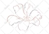 design creative detailed or simple line art logo for your company