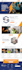 do website development, website design, wordpress website development