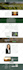 revamp, redesign, customize or develop topnotch wordpress website via elementor