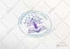 do your creative logo design and brand identity guidelines