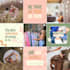 create canva instagram templates for a beautiful feed