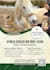 design professional business flyer, stunning marketing flyer design