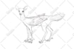 do fantasy concept art