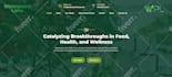 build, redesign, customize, update, or clone your wordpress website