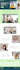 wix website redesign wix website design wix website development, wix expert