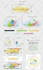 professional brand guide  branding kit