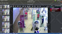 do data annotation, image, video tagging and labeling for ai