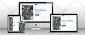 build wordpress website, business website, custom wordpress website development