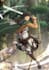 draw yourself as attack on titan character anime style