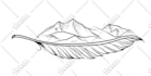 draw vector silhouette black and white