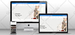 create responsive wordpress website design, blog or website development