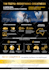 design customize professional infographics