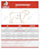 create professional size chart and measurement spec