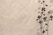 make pattern design seamless floral  background texture