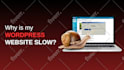 be your social media manager