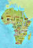 illustrate great maps for you or your business
