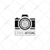 do vector tracing logo, vectorize image in 1 to 2 hours
