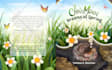 draw illustrations for books