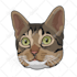draw cartoon illustration portrait for dog, cat or any pet