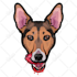 make avatar for your pets