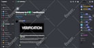 setup a fully custom nft discord server