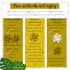 design anything on canva, design, redesign or edit canva design, digital product