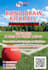 create new year eve, event flyer, birthday party flyer, animated motion flyer