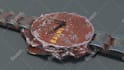 3d modeling, texturing, lighting, rigging, animation